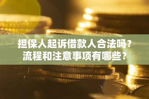 济南担保人起诉借款人合法吗？流程和注意事项有哪些？
