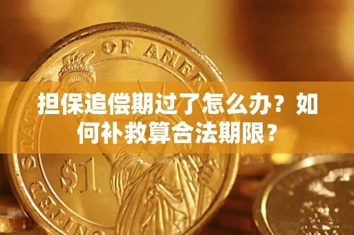 济南担保追偿期过了怎么办？如何补救算合法期限？
